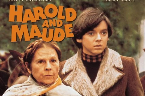 Harold and Maude (1971) Filminin Analizi
