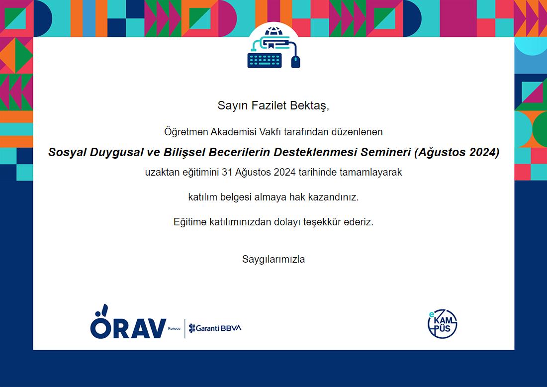 Sosyal Duygusal ve Bilişsel Becerilerin Desteklenmesi Image Description